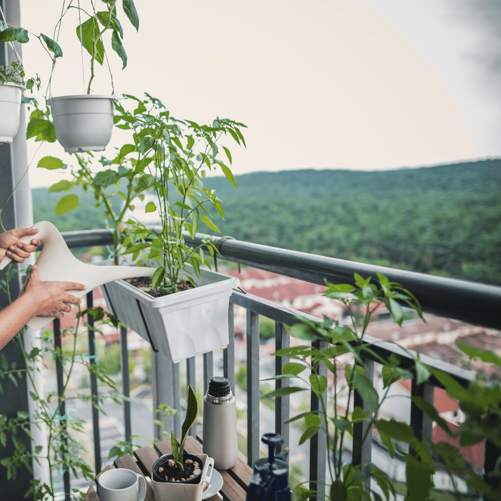 View of Urban Green Thumbs: A Guide to Growing Vegetables and Herbs in ...